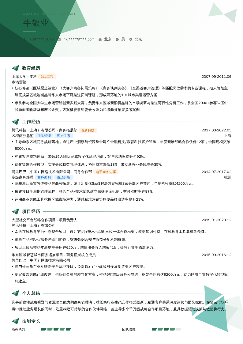 区域商务总监简历模板