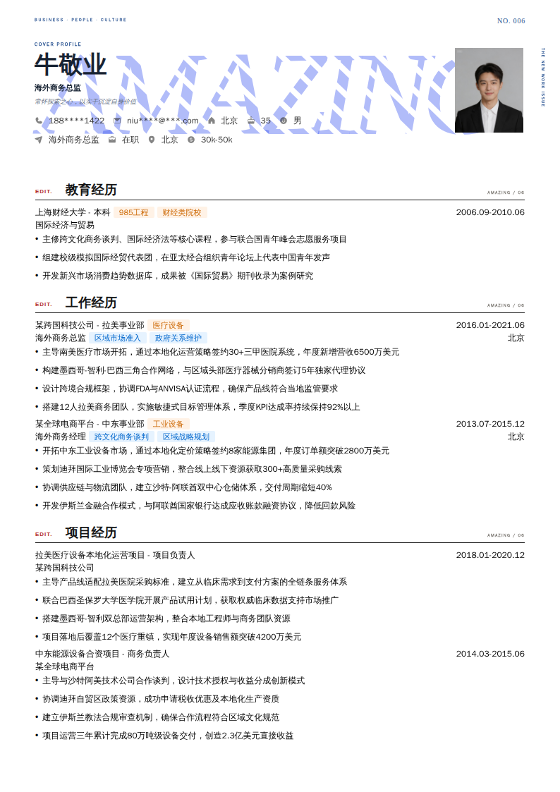海外商务总监简历模板