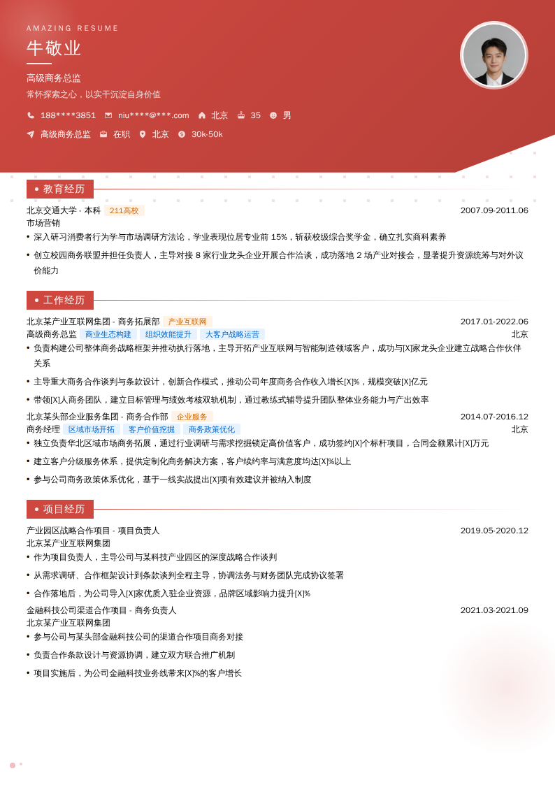 高级商务总监简历模板