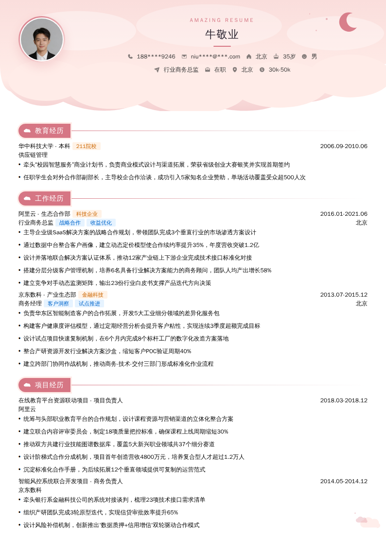 行业商务总监简历模板