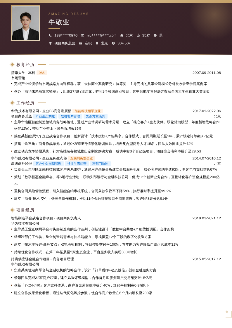 项目商务总监简历模板