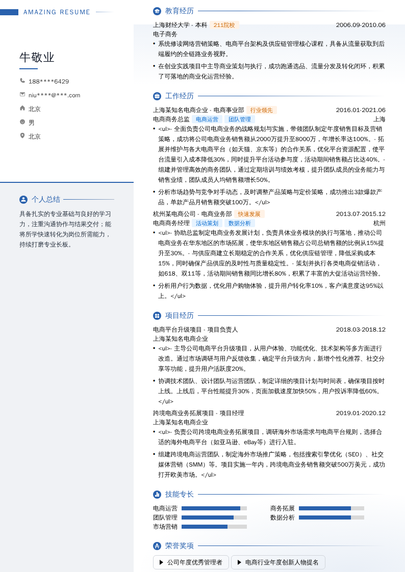 电商商务总监简历模板