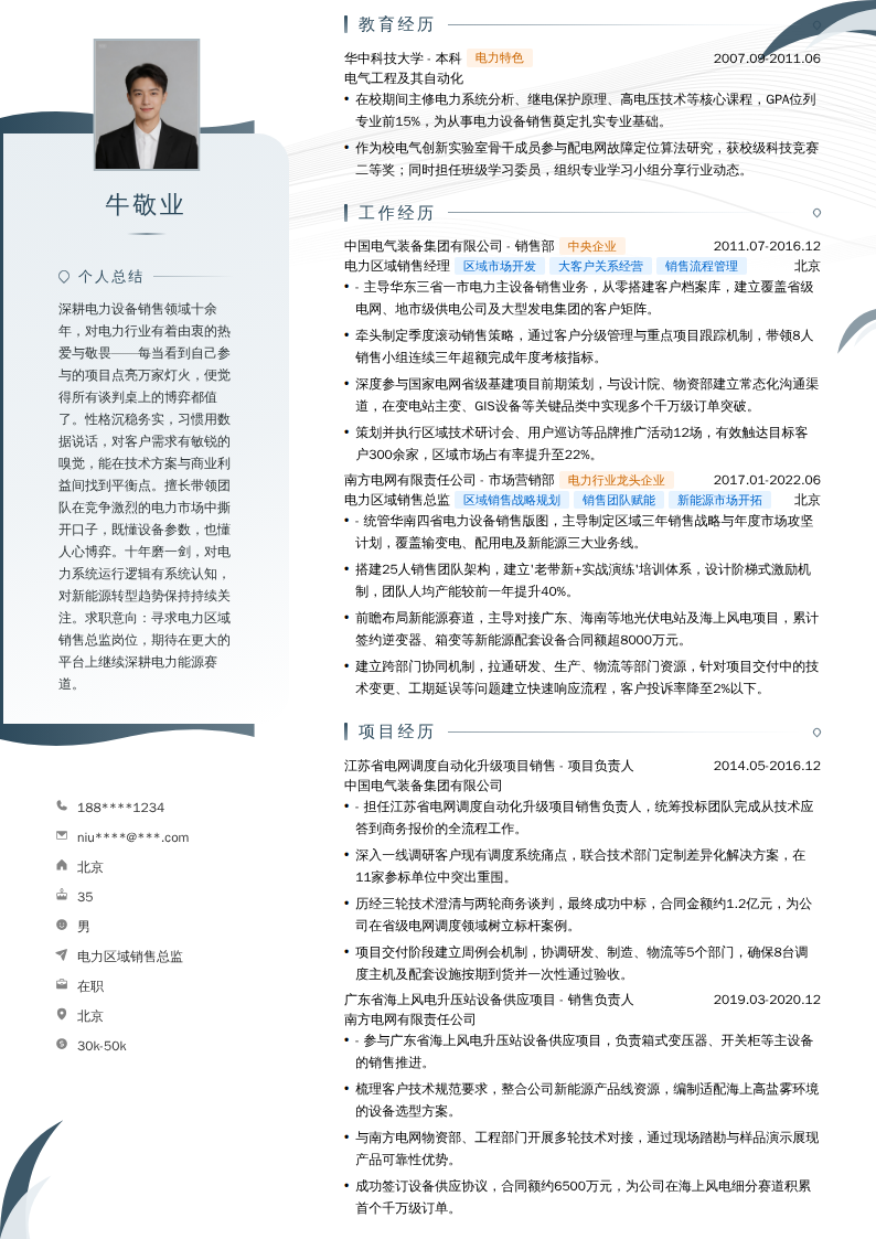 电力区域销售总监简历模板