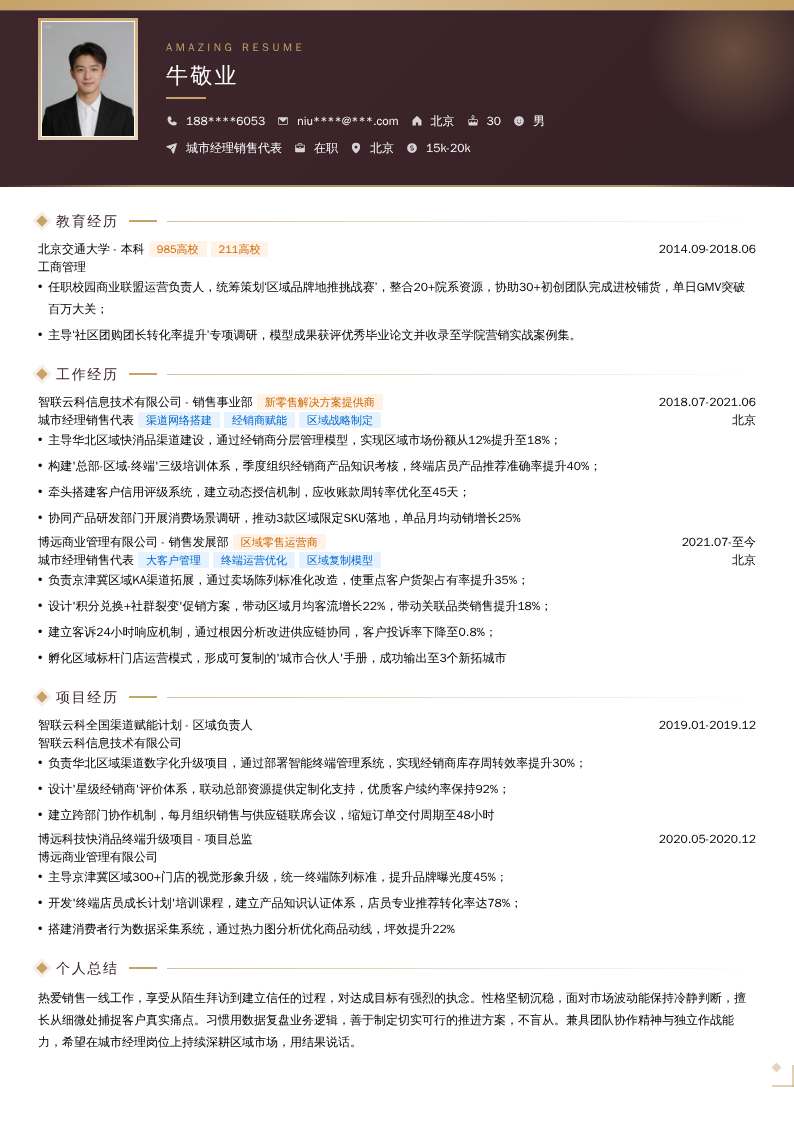 城市经理销售代表简历模板