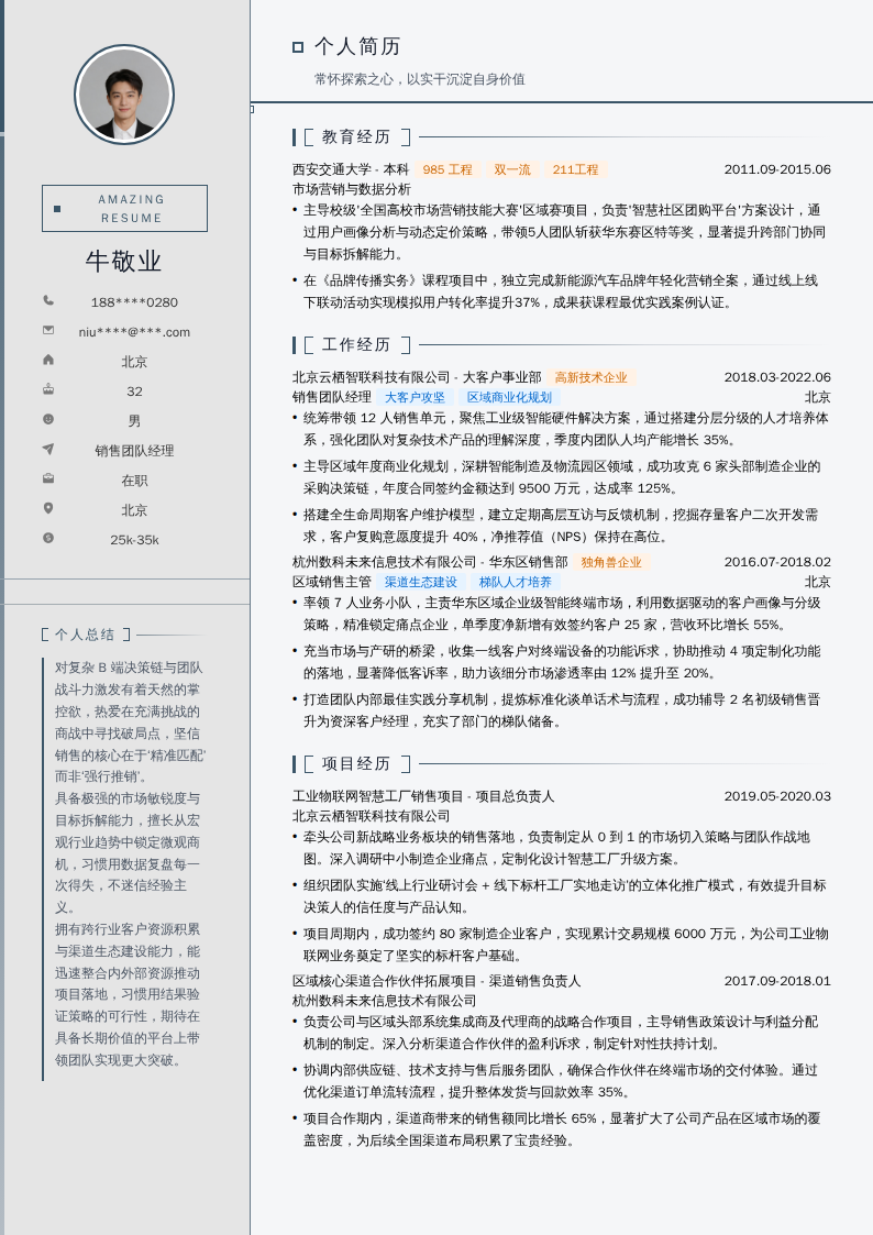 销售团队经理简历模板