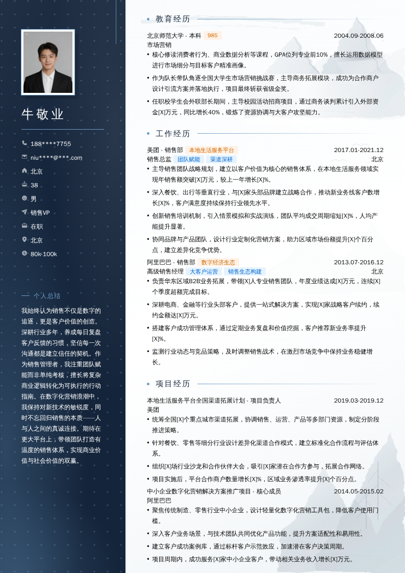 销售VP简历模板