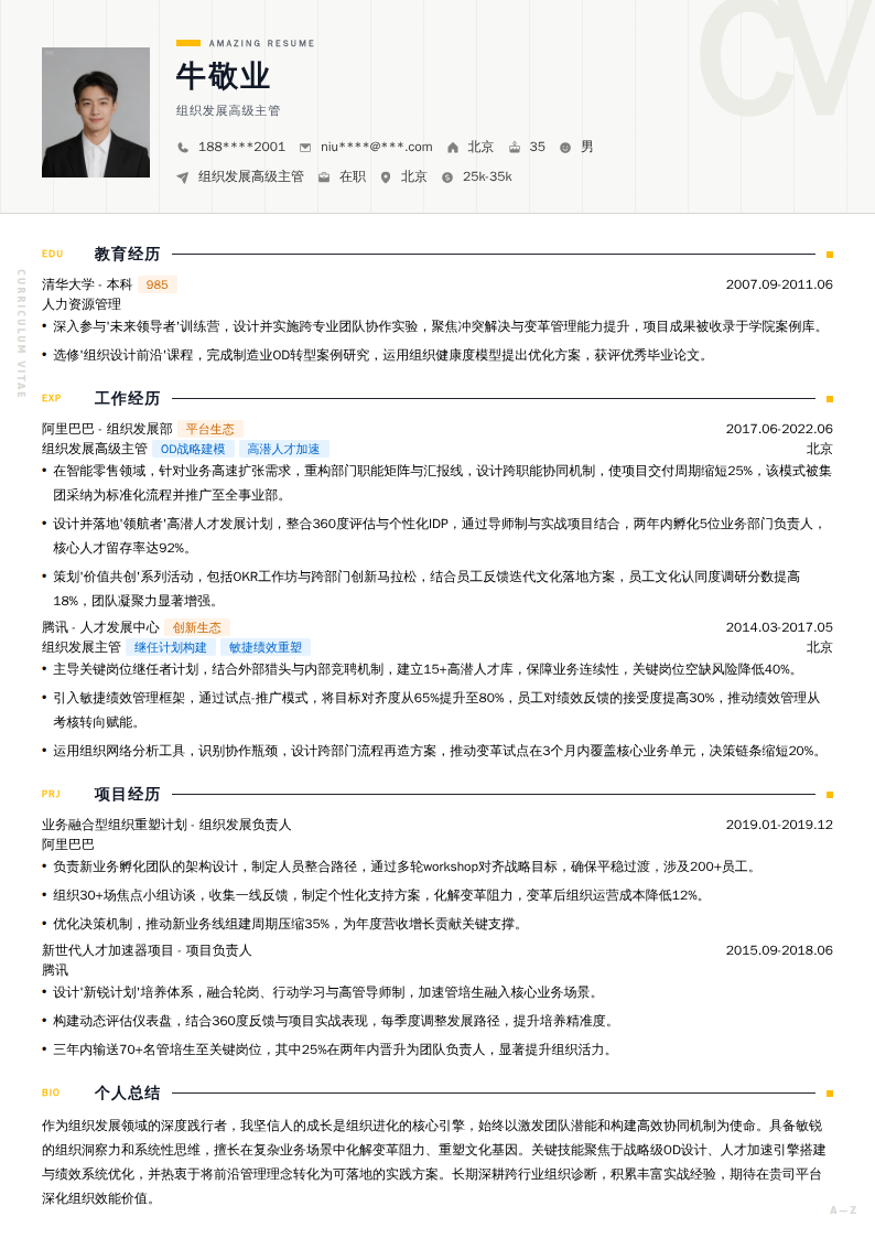 组织发展高级主管简历模板