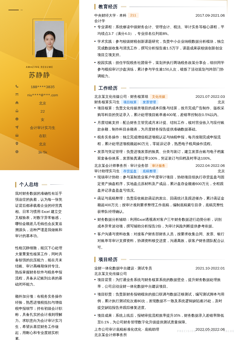 会计审计实习生简历模板