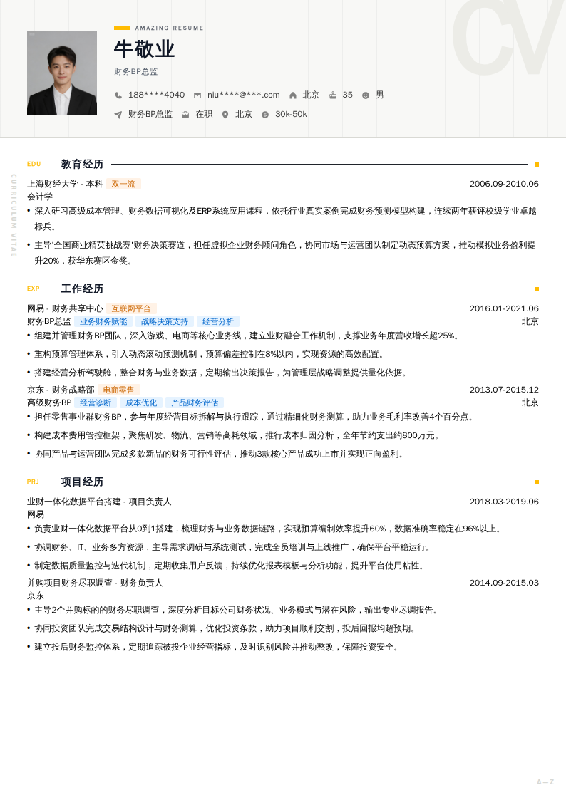 财务BP总监简历模板