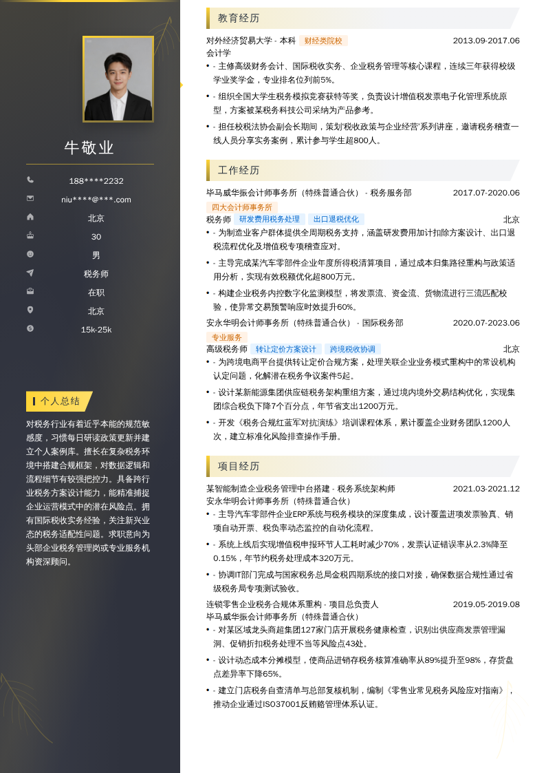 税务师简历模板