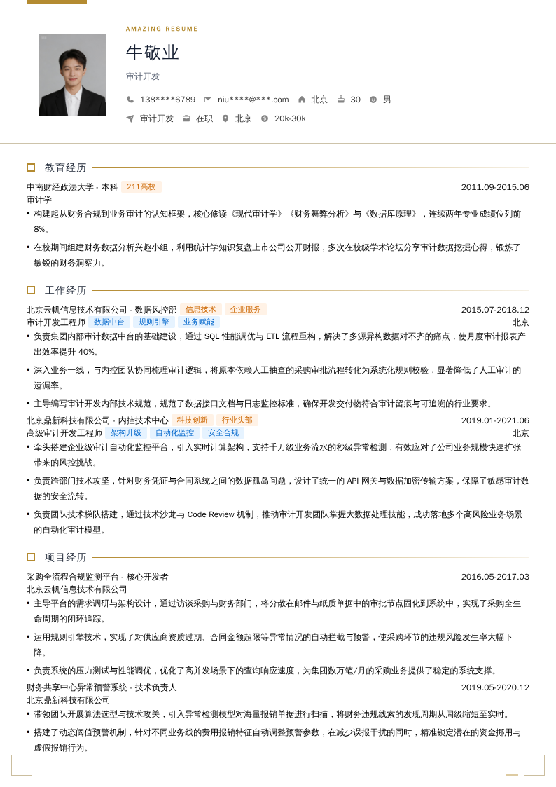 审计开发简历模板