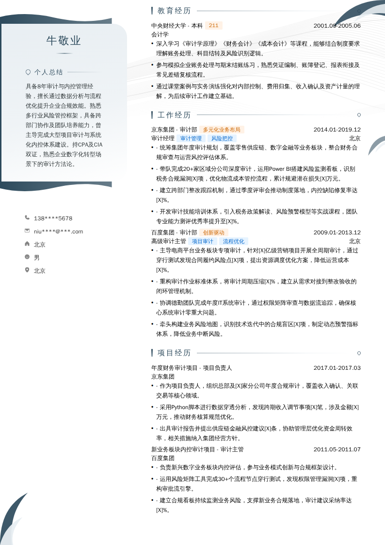 审计总监简历模板