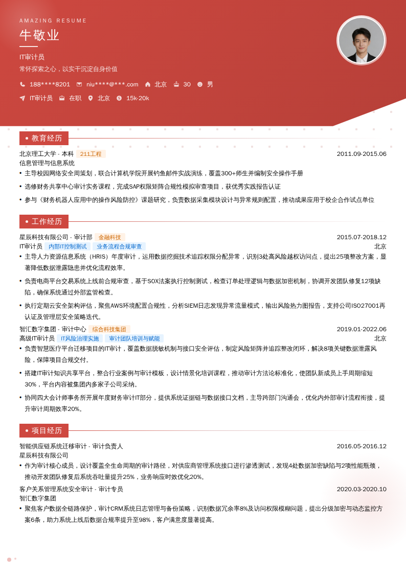 IT审计员简历模板