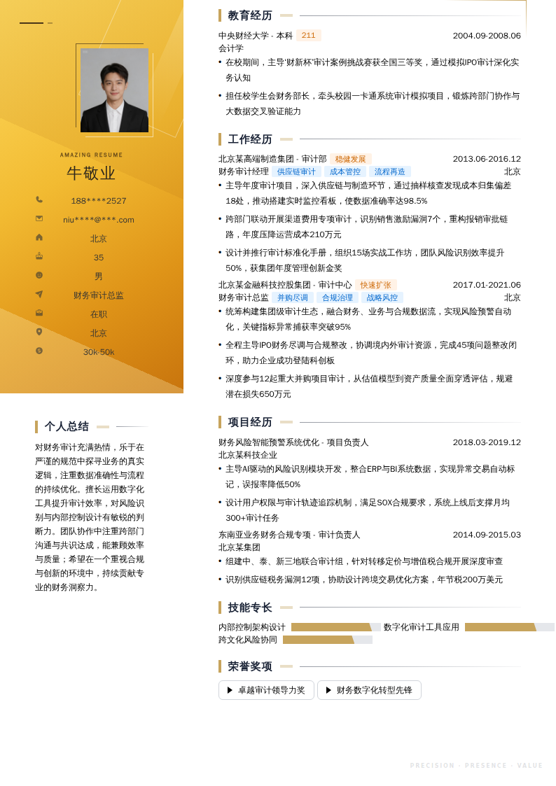 财务审计总监简历模板