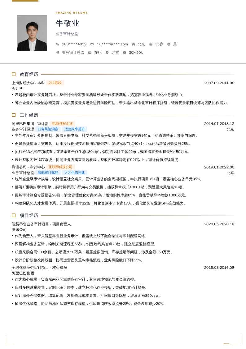 业务审计总监简历模板