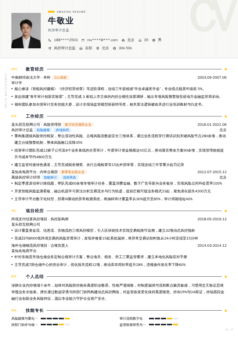 风控审计总监简历模板