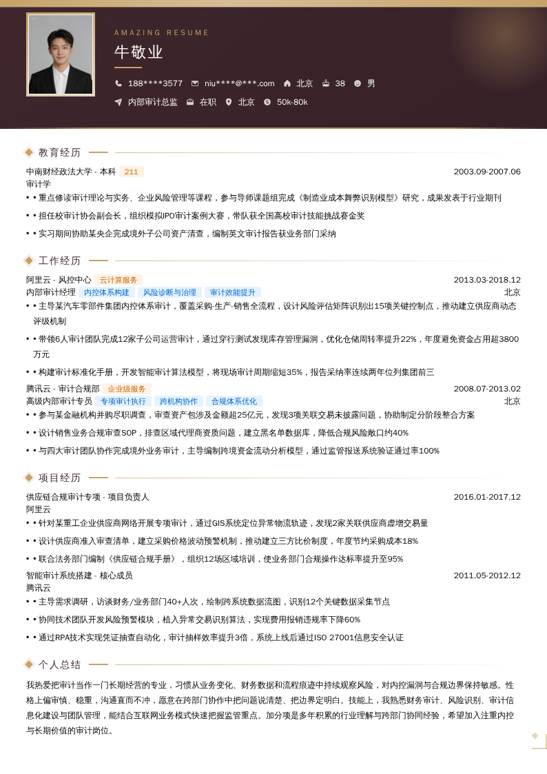 内部审计总监简历模板