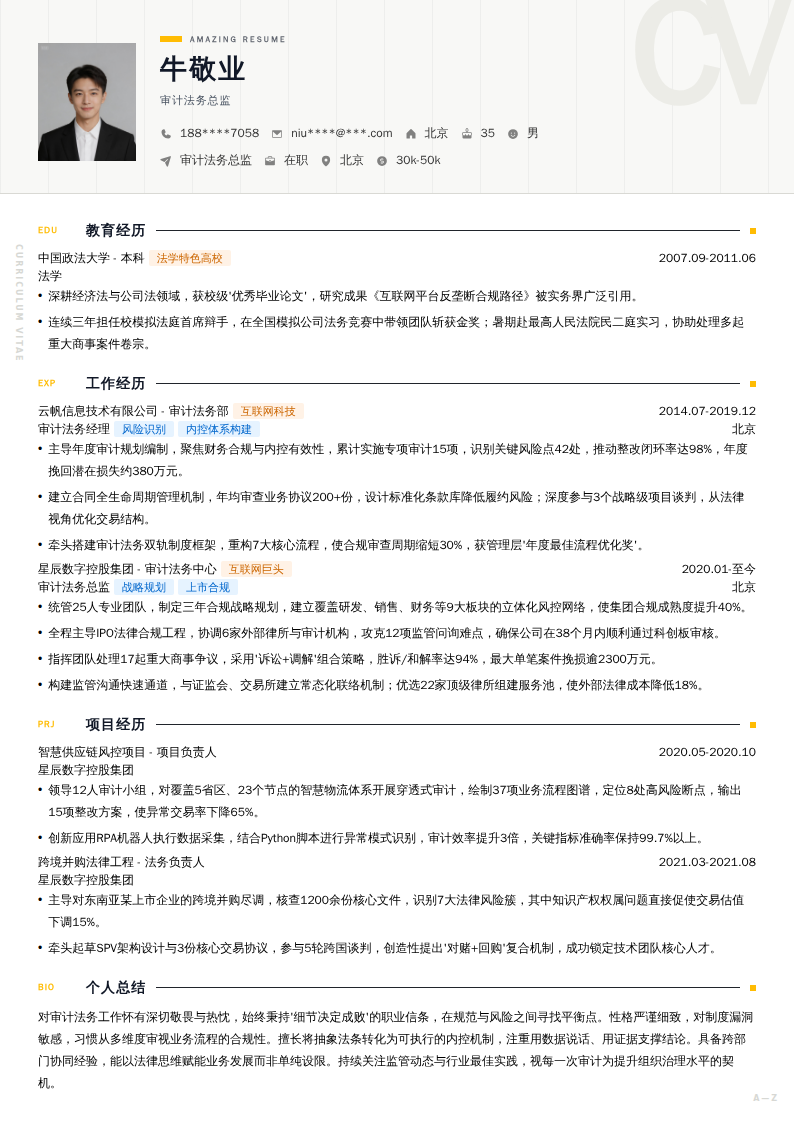 审计法务总监简历模板