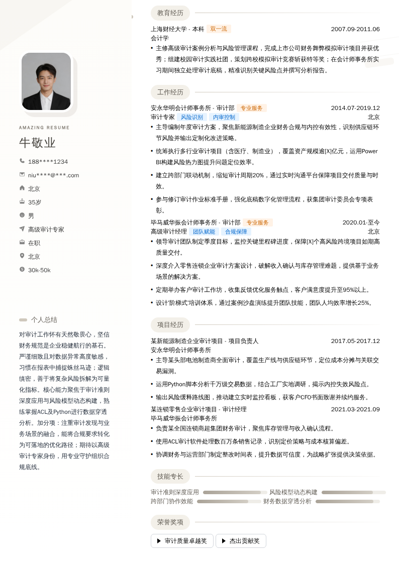 高级审计专家简历模板