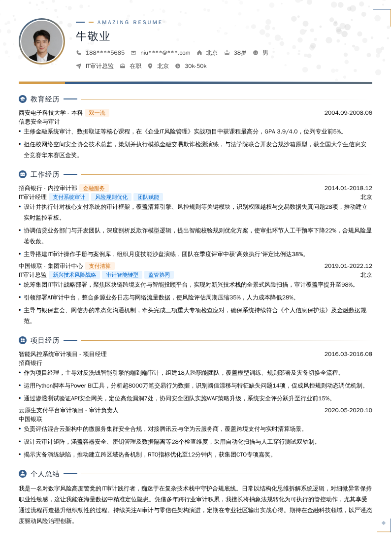 IT审计总监简历模板