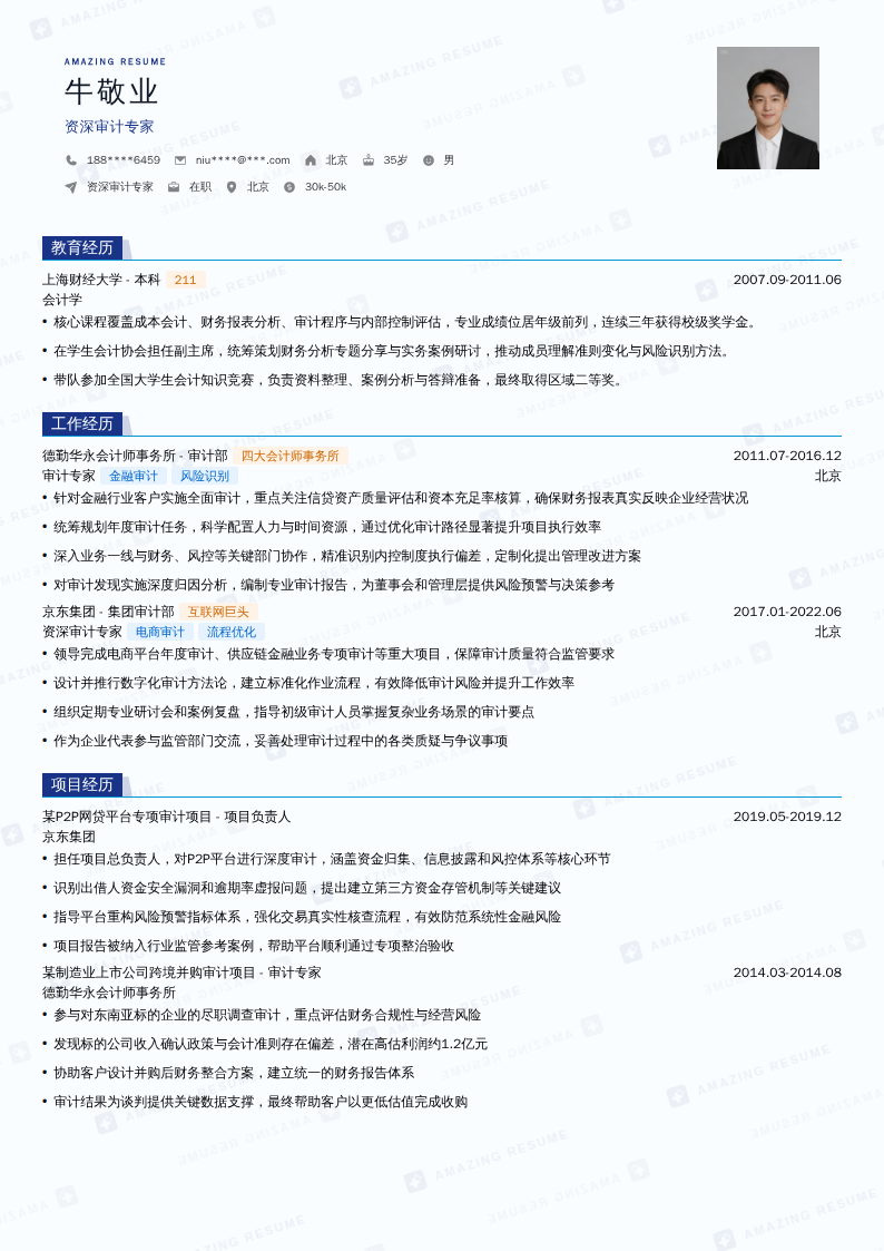 资深审计专家简历模板