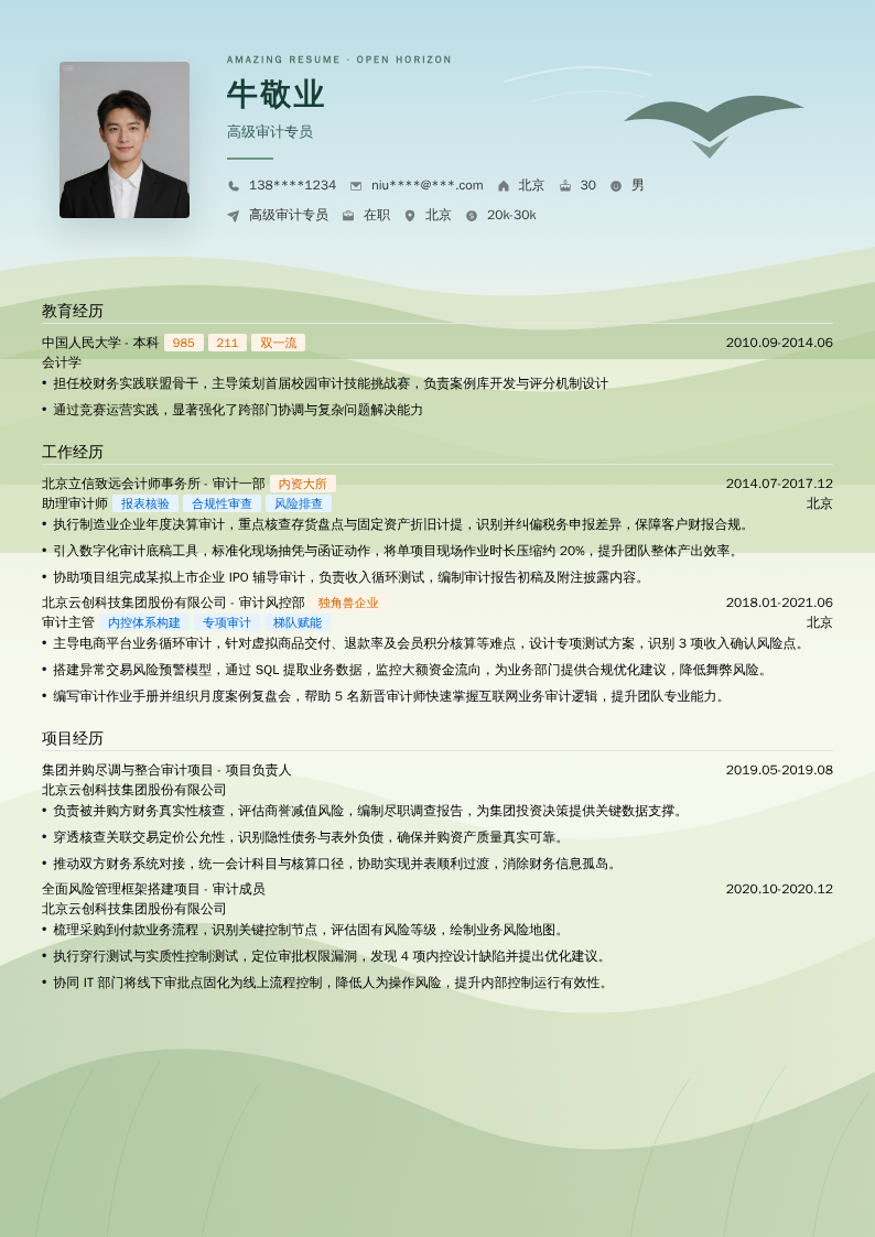 高级审计专员简历模板