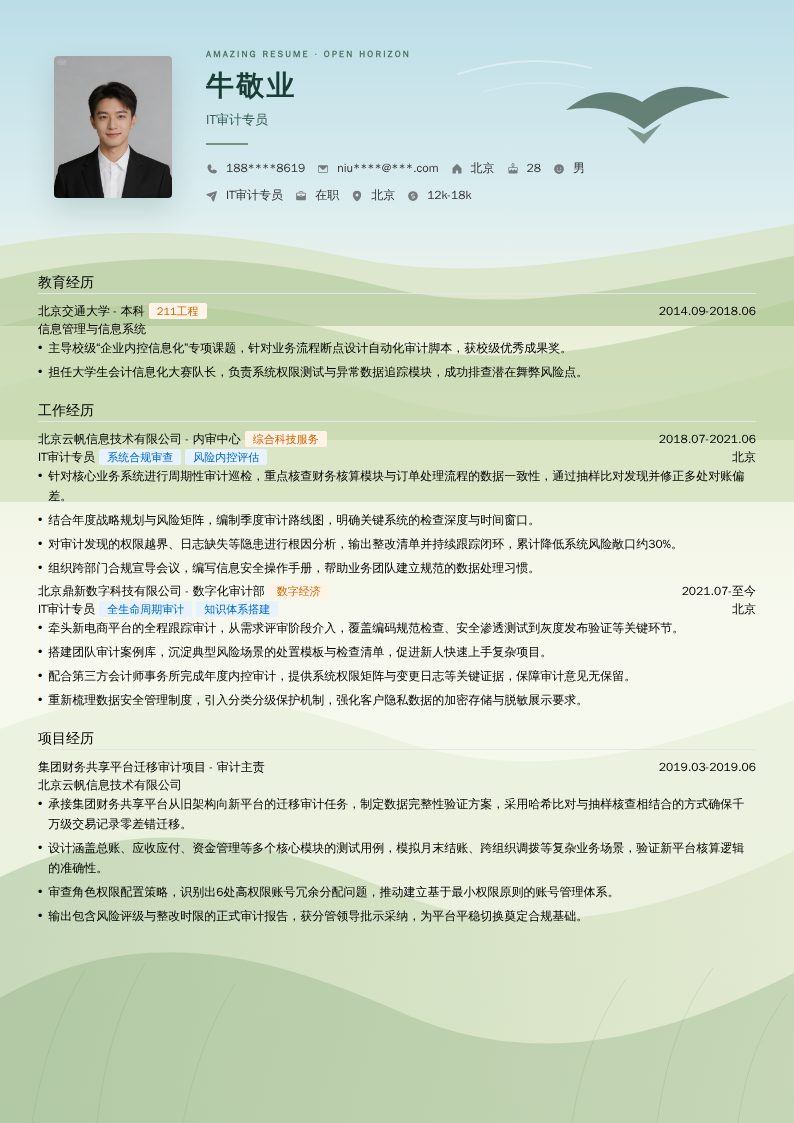 IT审计专员简历模板