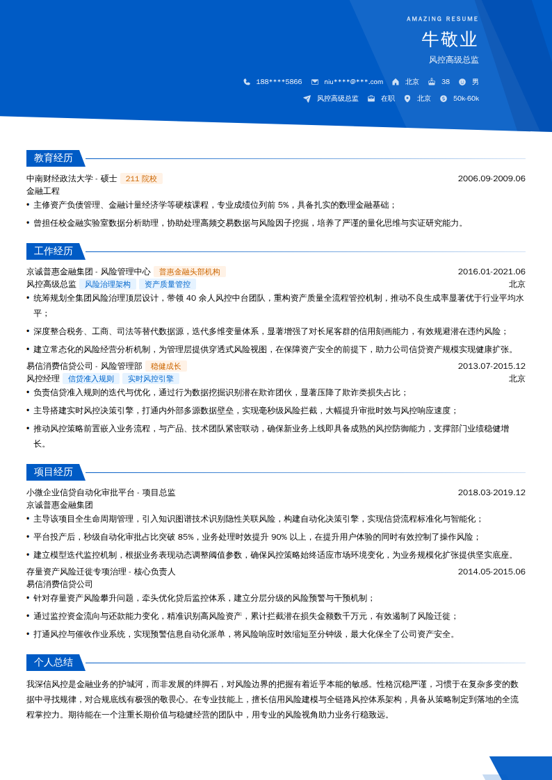 风控高级总监简历模板