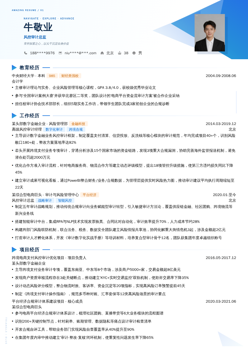 风控审计总监简历模板