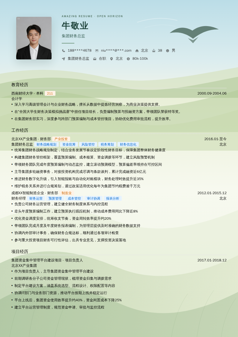 集团财务总监简历模板