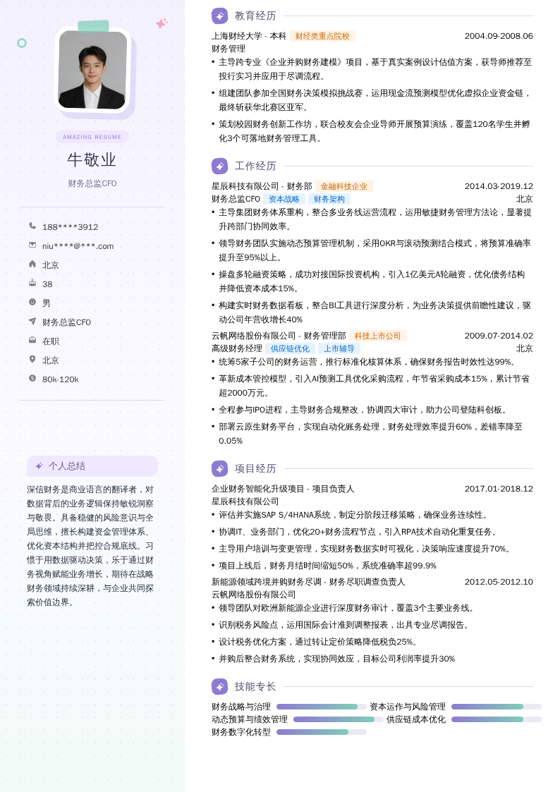 财务总监CFO简历模板
