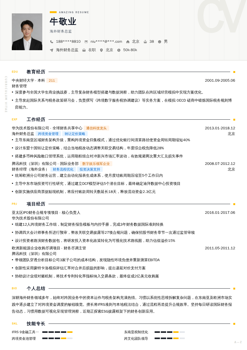 海外财务总监简历模板