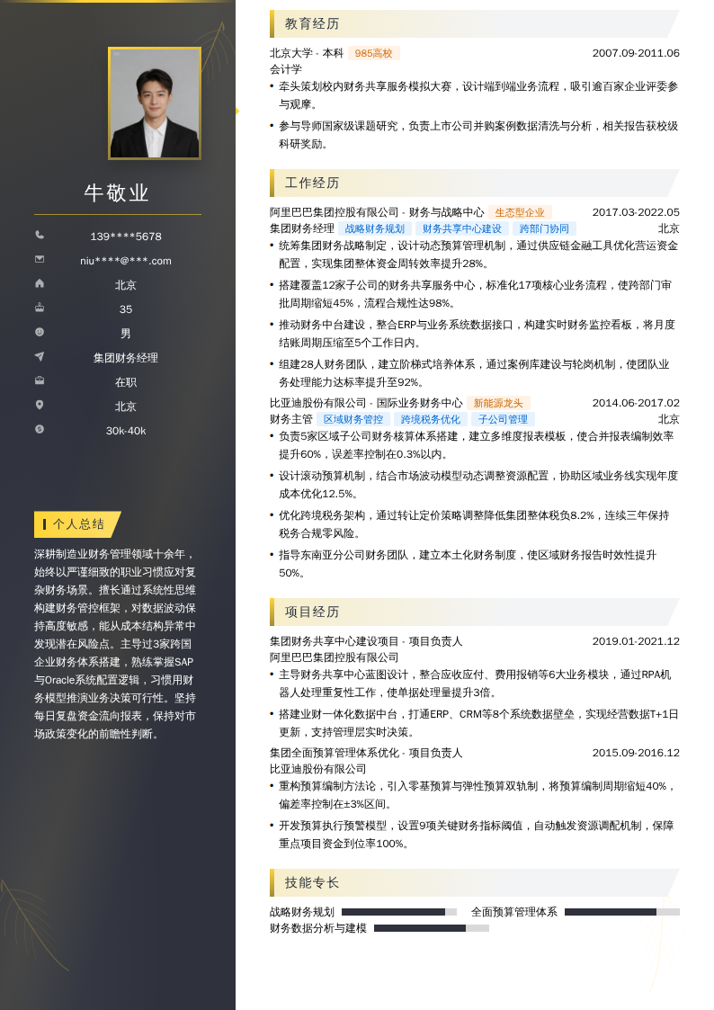 集团财务经理简历模板
