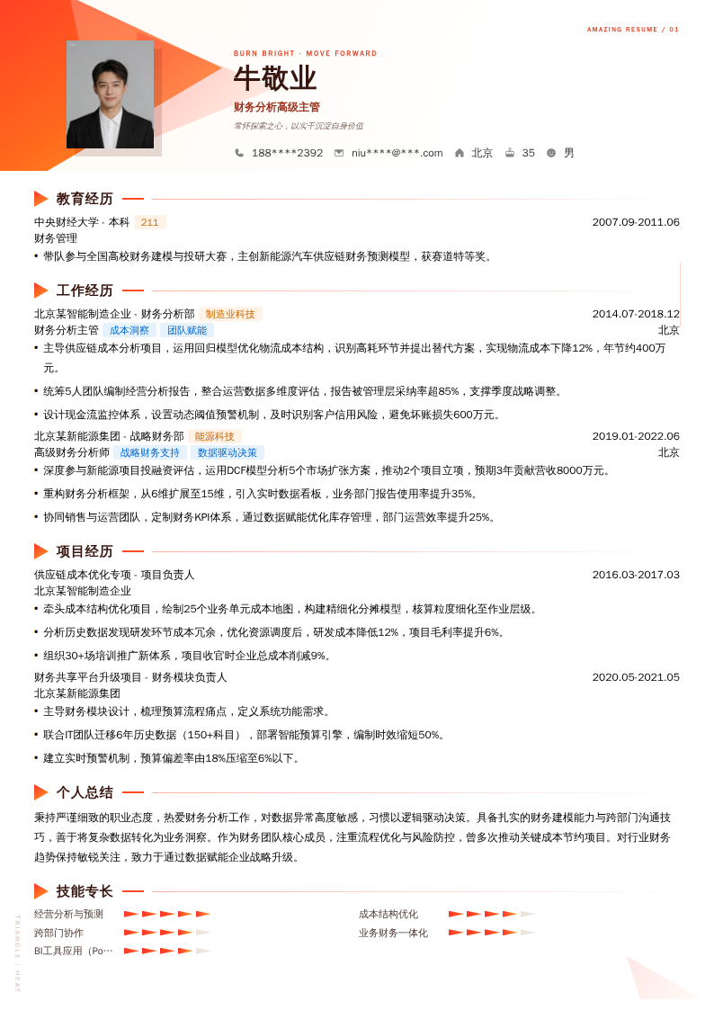 财务分析高级主管简历模板