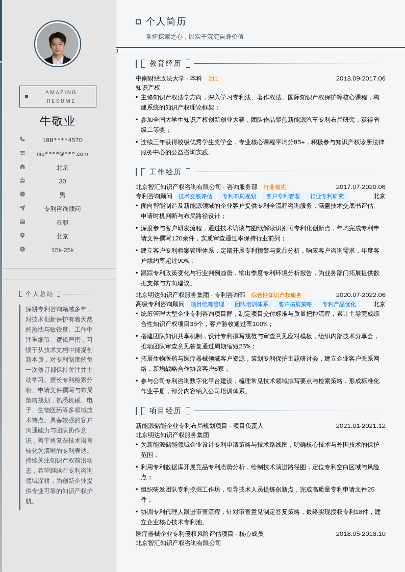 专利咨询顾问简历模板