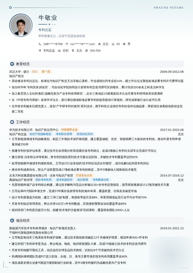 专利总监简历模板