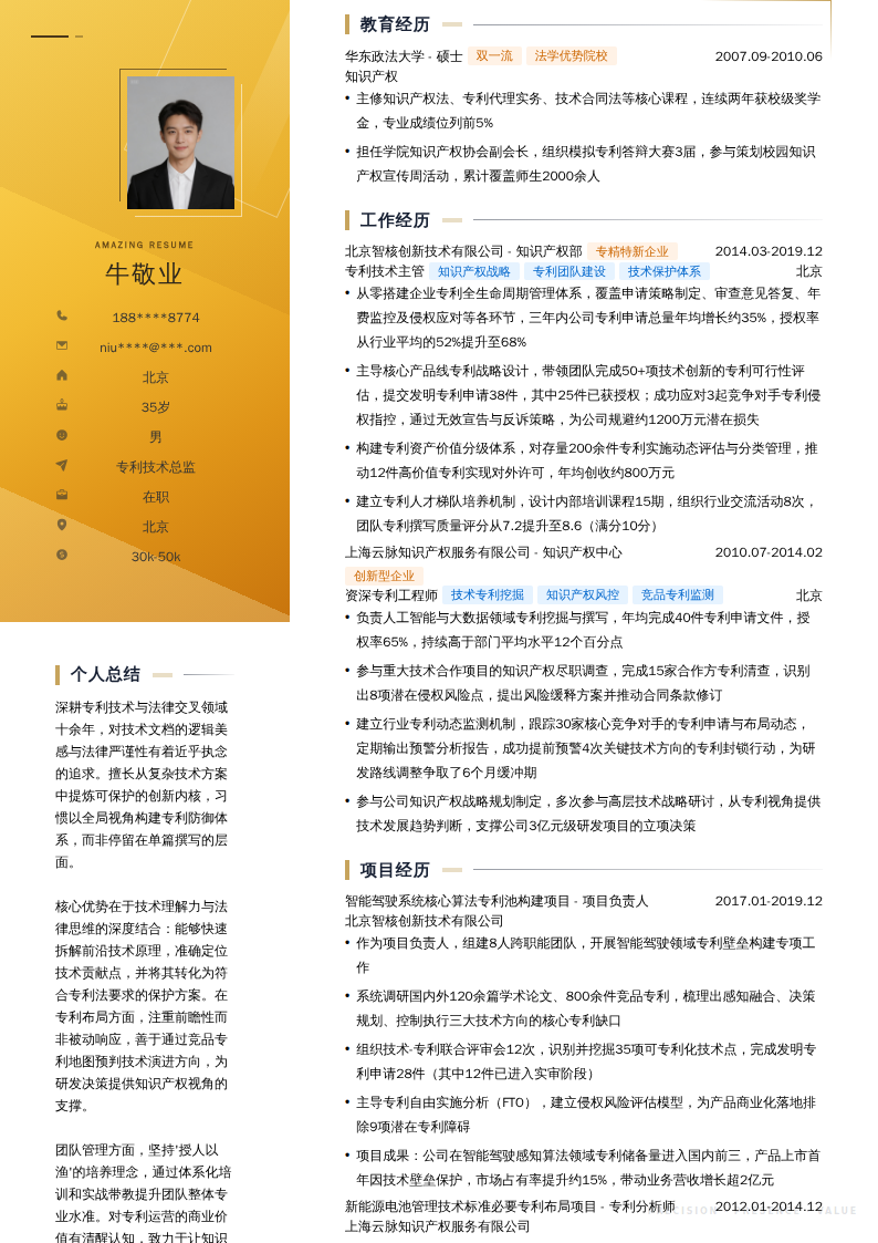专利技术总监简历模板