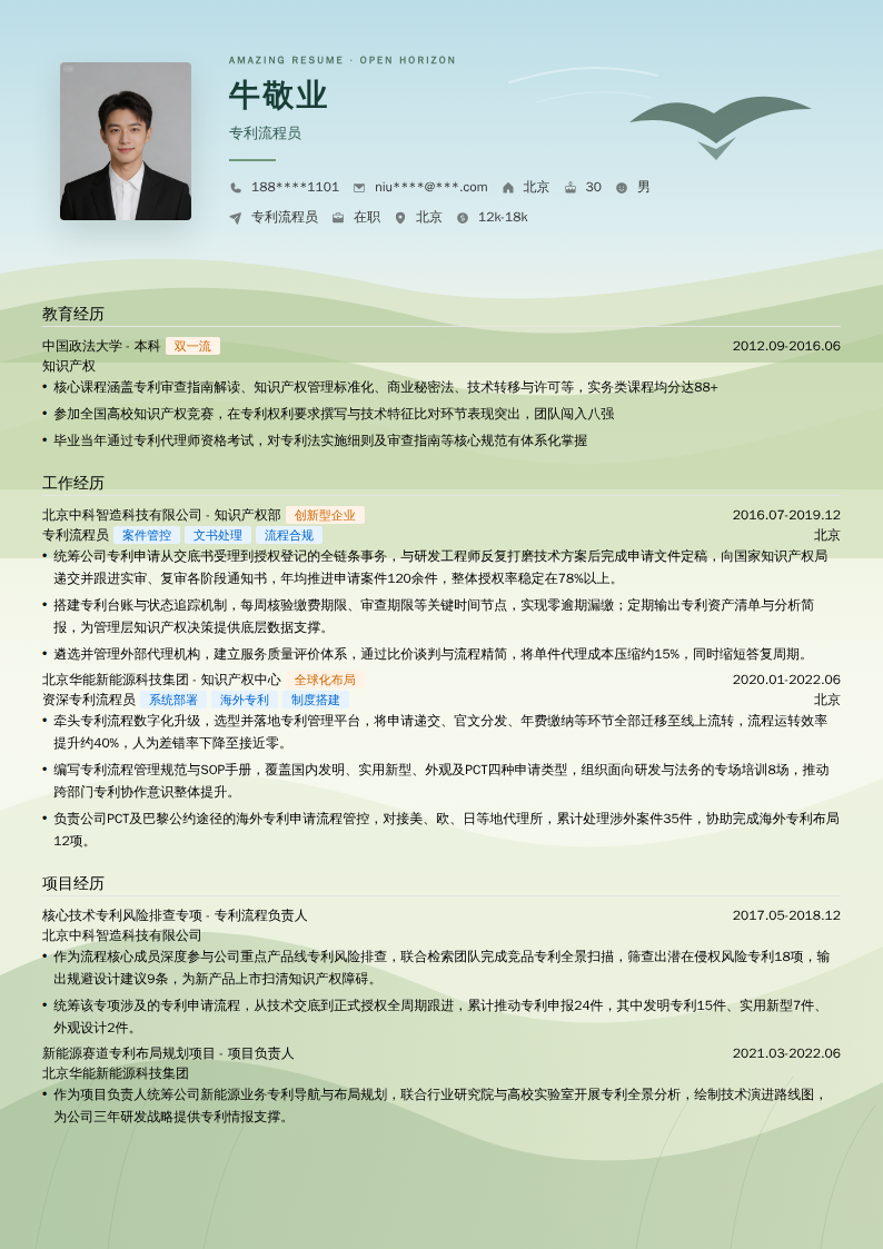 专利流程员简历模板