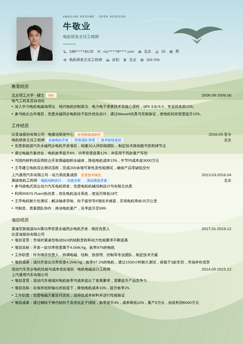 电机研发主任工程师简历模板
