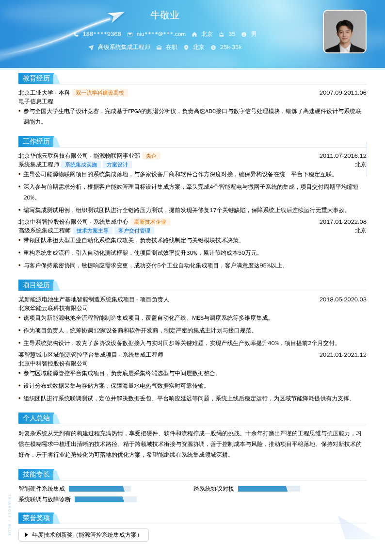 高级系统集成工程师简历模板