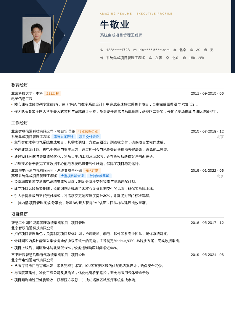 系统集成项目管理工程师简历模板