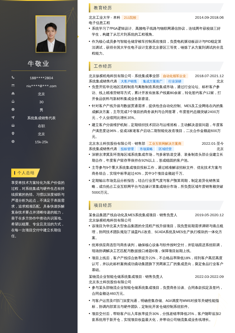 系统集成销售代表简历模板