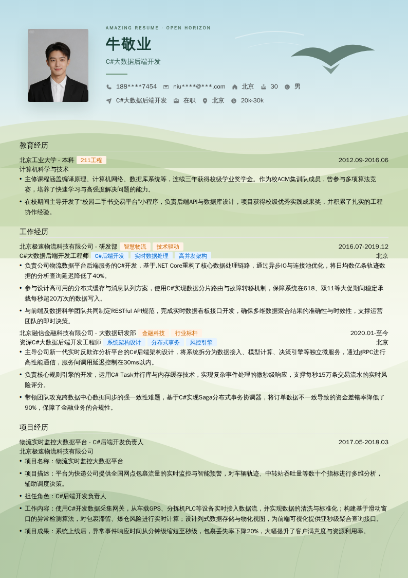 C#大数据后端开发简历模板