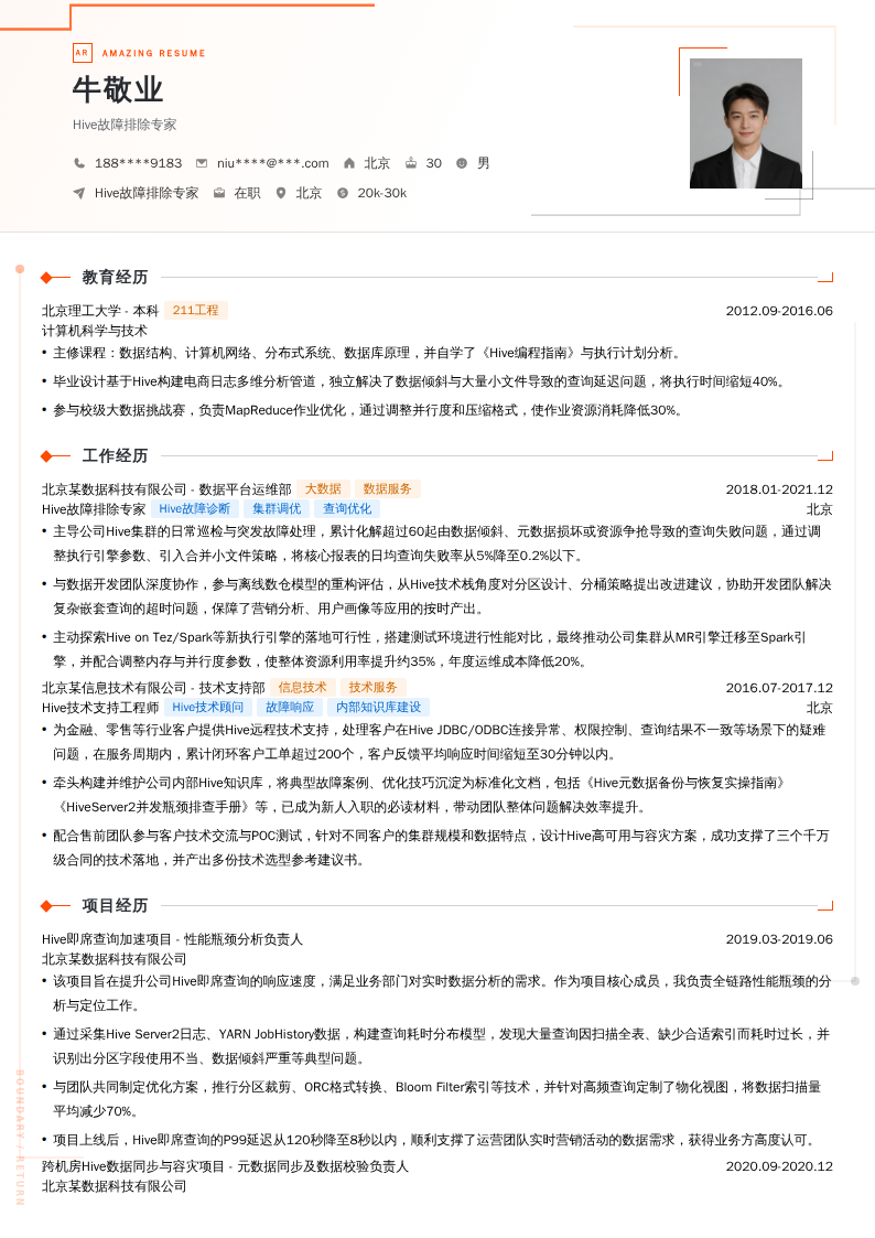Hive故障排除专家简历模板