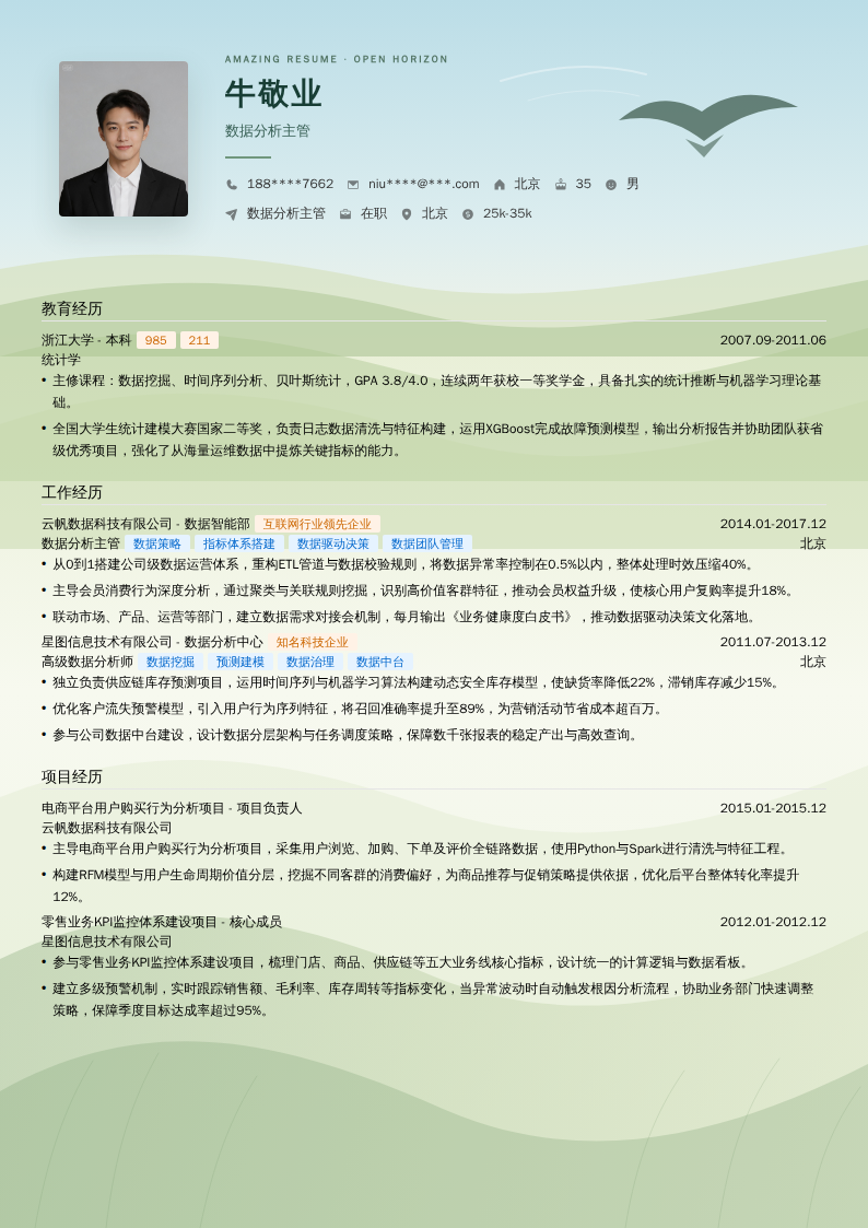 数据分析主管简历模板
