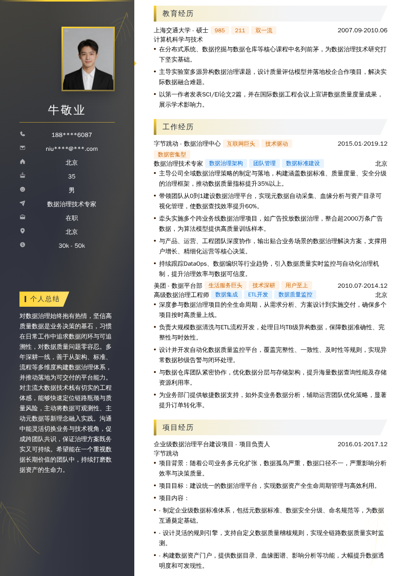 数据治理技术专家简历模板