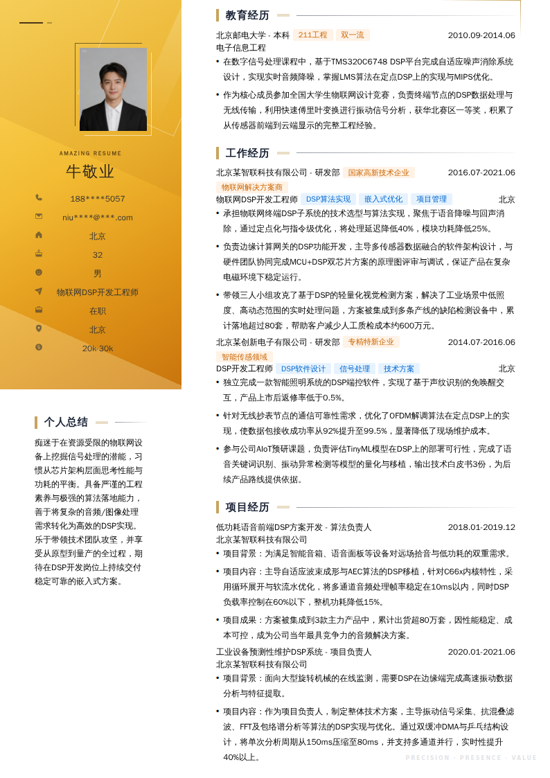 物联网DSP开发工程师简历模板