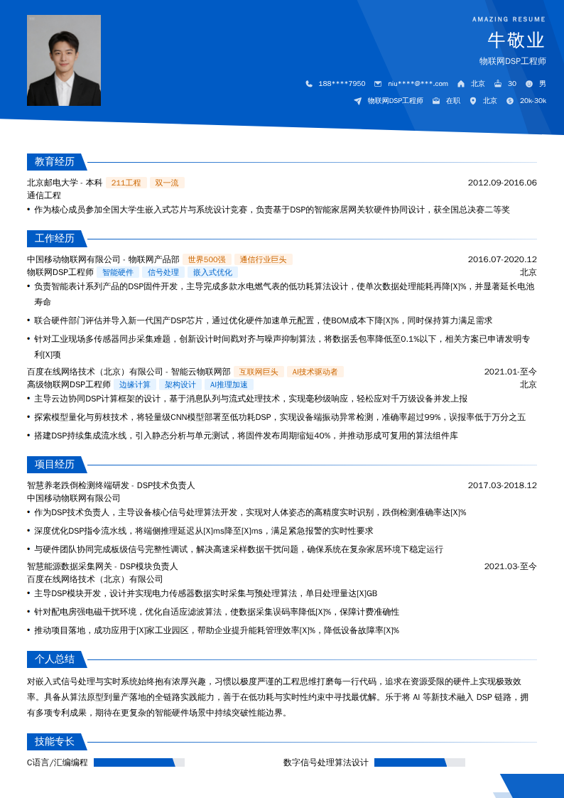 物联网DSP工程师简历模板