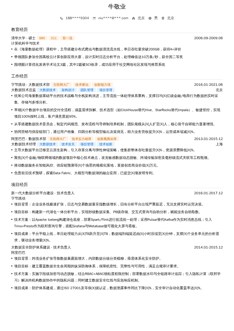 大数据技术总监简历模板