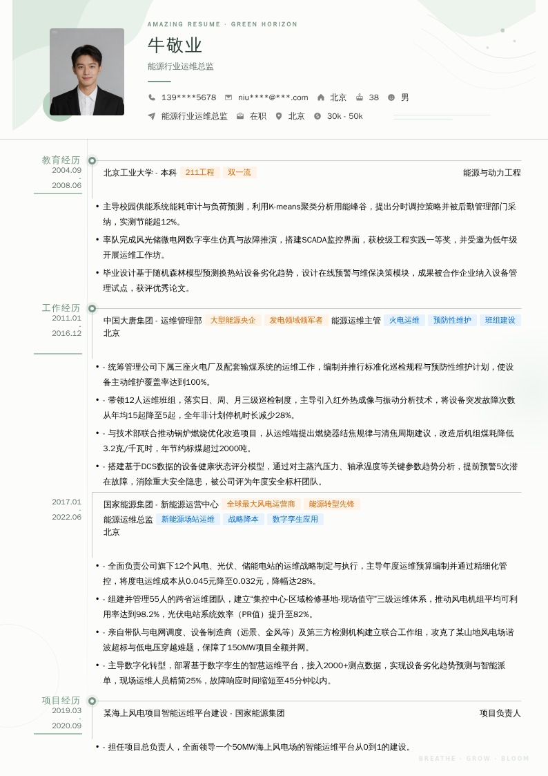 能源行业运维总监简历模板